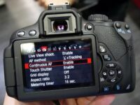 tiger photography tips