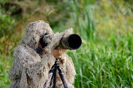 wildlife photographer