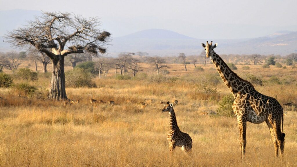 photography safari holidays