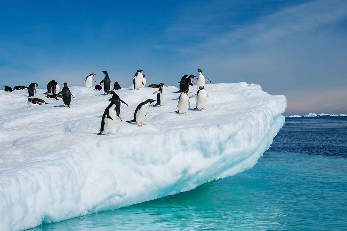 Antarctica photography tours