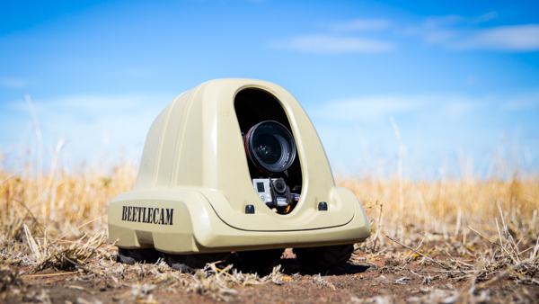 rent beetlecam