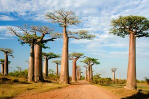 madagascar photography tours