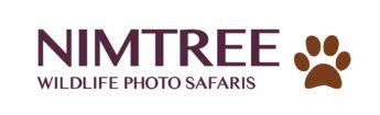 Photo safaris