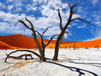 Namibia photo tours