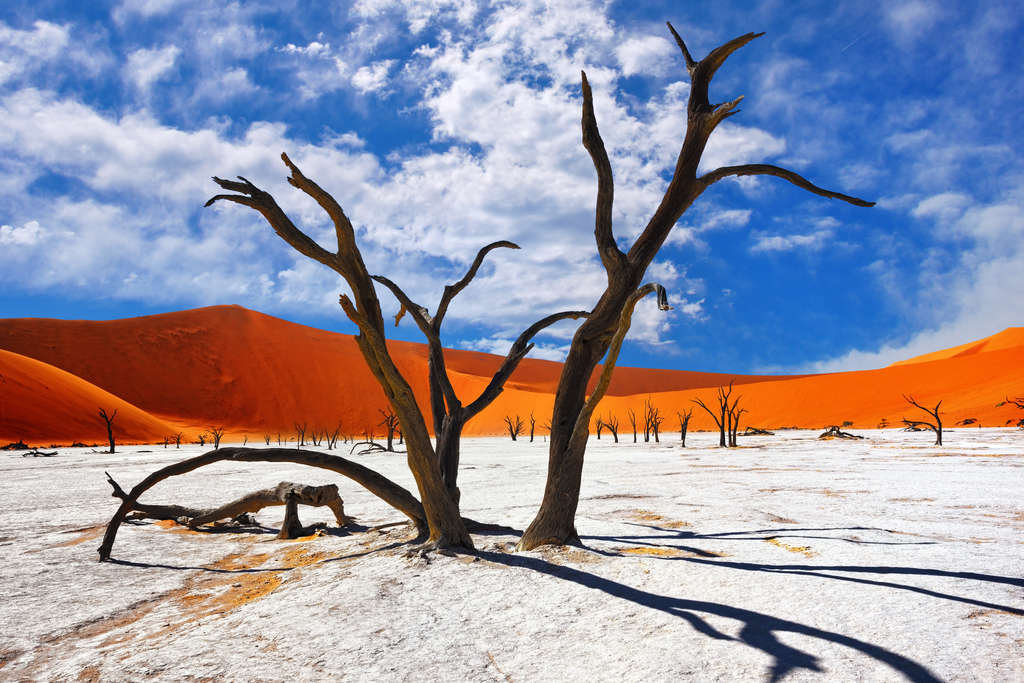 Namibia photo tours