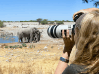 Intermediate photography - Level II